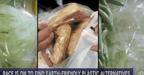 彭于晏苏有朋,彭于晏和苏有朋