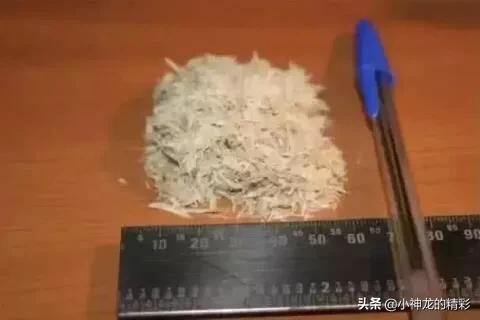 吉尼斯世界之最:最能生的女人,丈夫“不堪重负”,选择逃跑