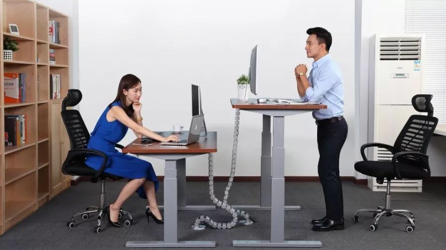 宁波乐歌人体工学招聘信息,宁波乐歌科技有限公司招聘信息