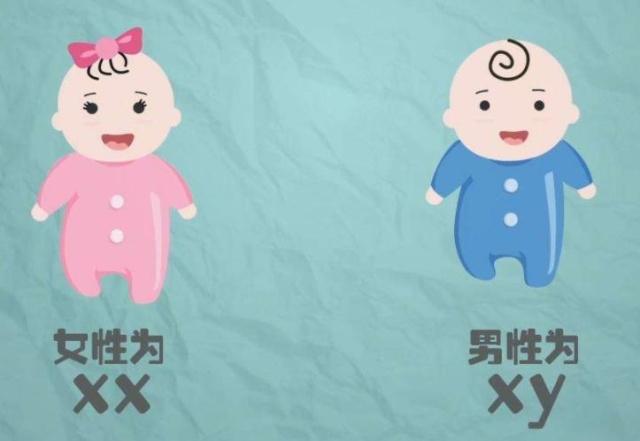 生男孩真的不用担心吗,生男孩的谣言有哪些