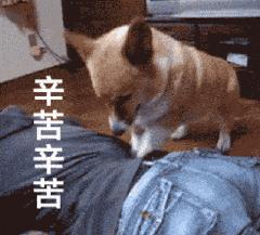 19岁腰疼最快缓解方法,女生年纪轻轻为何腰疼