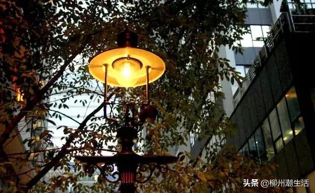 柳州有高铁到香港吗,有什么交通工具可以从柳州到香港