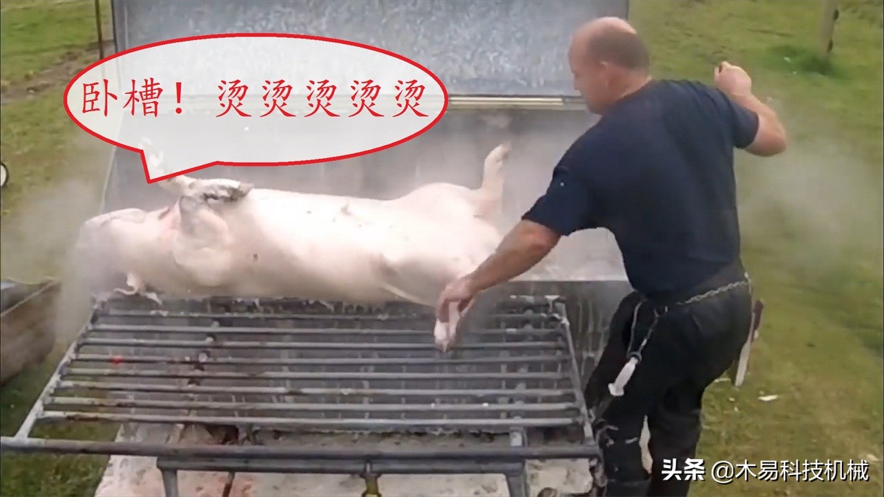 脱猪毛最好的神器,脱猪毛神器大全