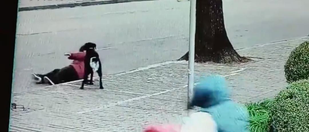 他们“拼力”拍到的中国*警武**照片，标价499美元一张【新闻早七点】