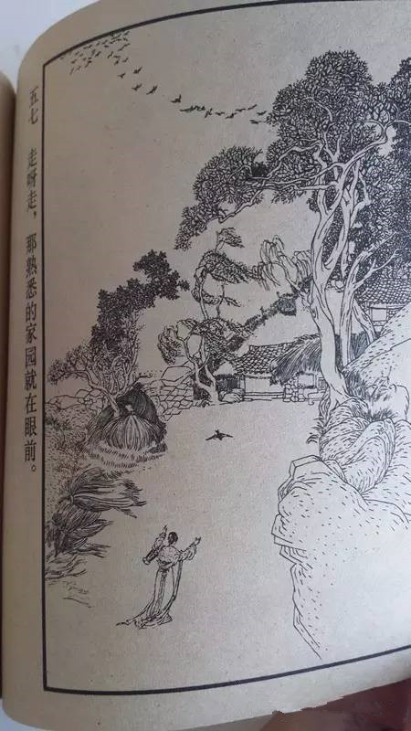 小人书《马兰花》：小时候最大的梦想，是拥有一朵马兰花