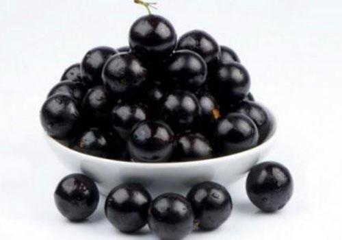 有几种特殊的水果你见过几个,这些精品水果你吃过几种