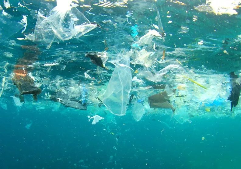 不进行垃圾分类地球会怎样 (我们可以怎样阻止垃圾分类)