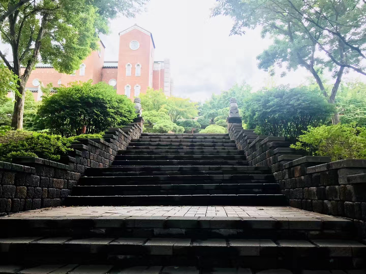 启明大学校园介绍,启明大学是国际学校吗