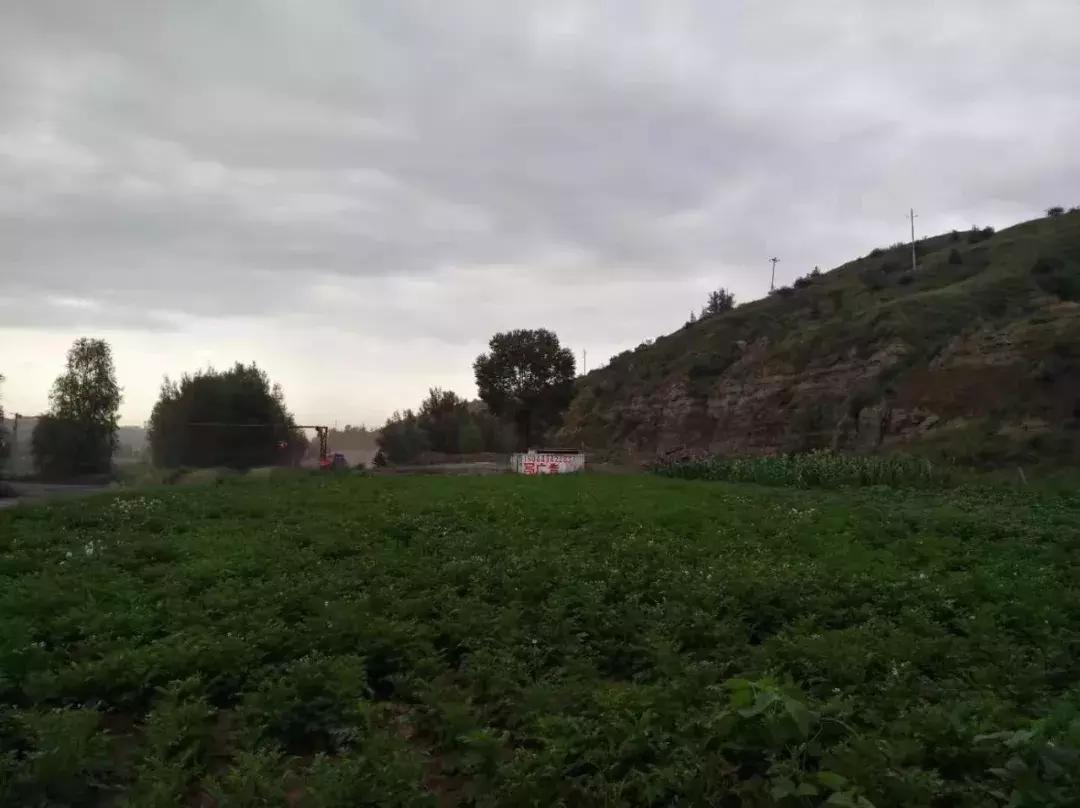 【本土】黄黑绿:印象三色准格尔旗“羊塔市”