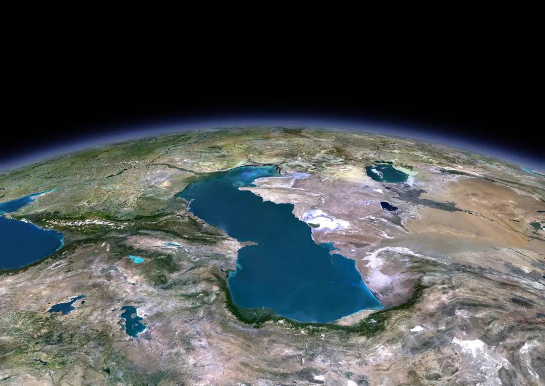 新疆塔里木大沙漠风景,除了沙漠树森林树还有什么