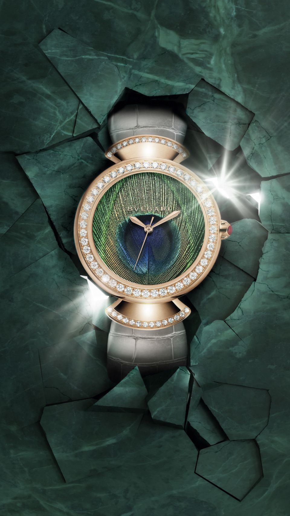 宝格丽新品2019全钻表,2019年度新番总结