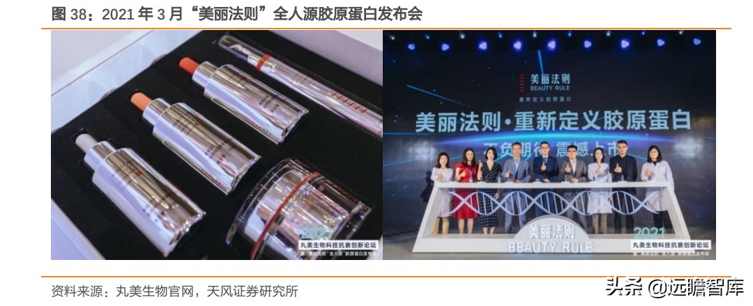 重组胶原蛋白未来趋势,胶原蛋白重组是高端产业吗