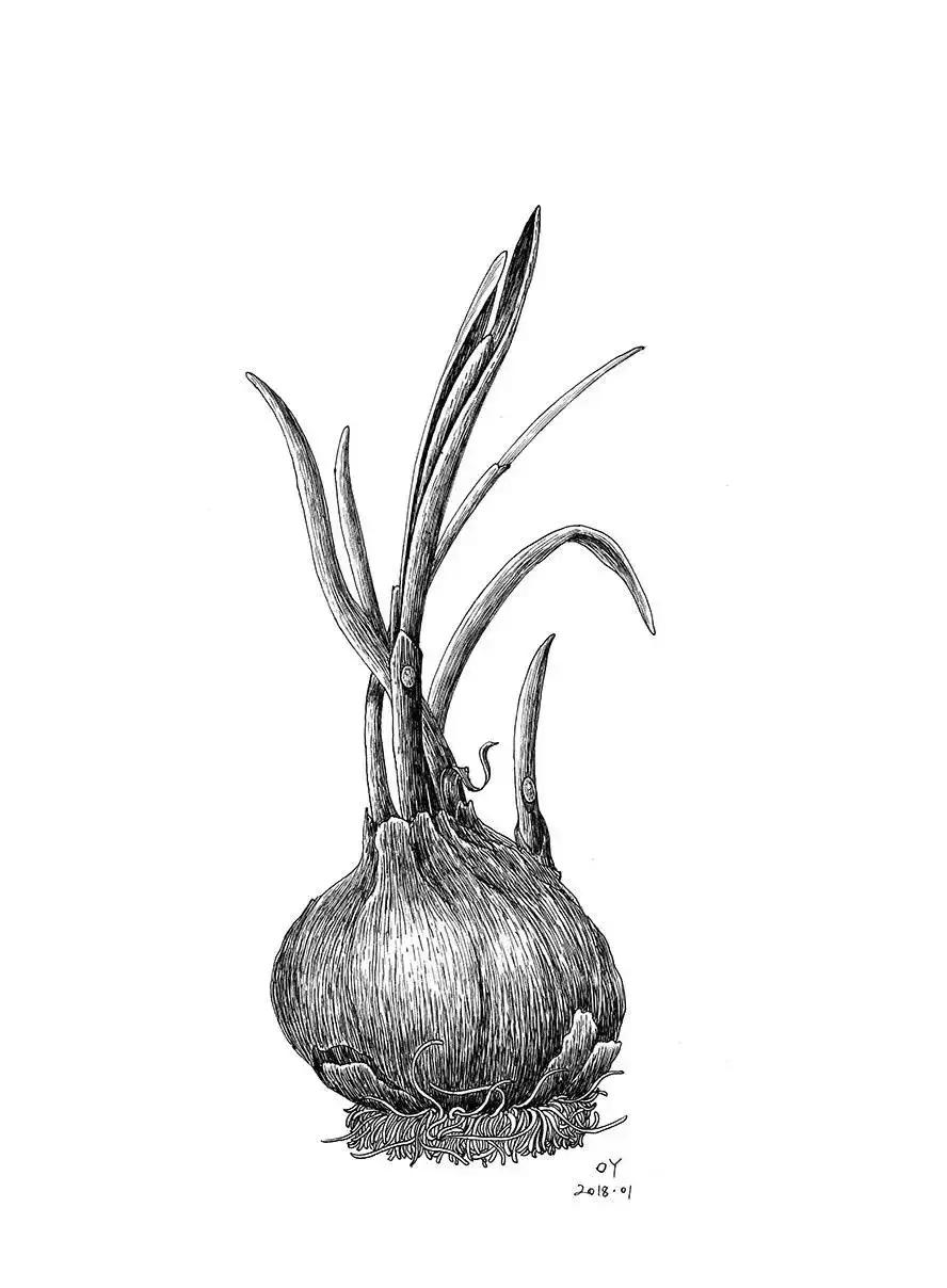 最简单的针管笔,如何练好针管笔