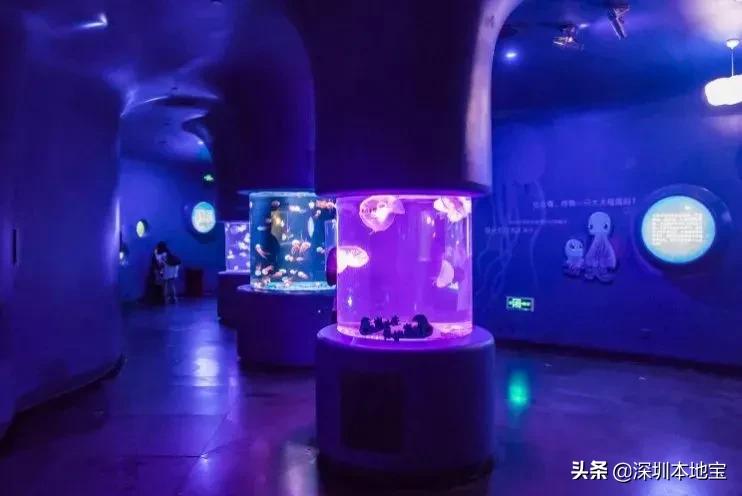 晚上去哪玩？深圳景点夜场活动不少！门票还有优惠