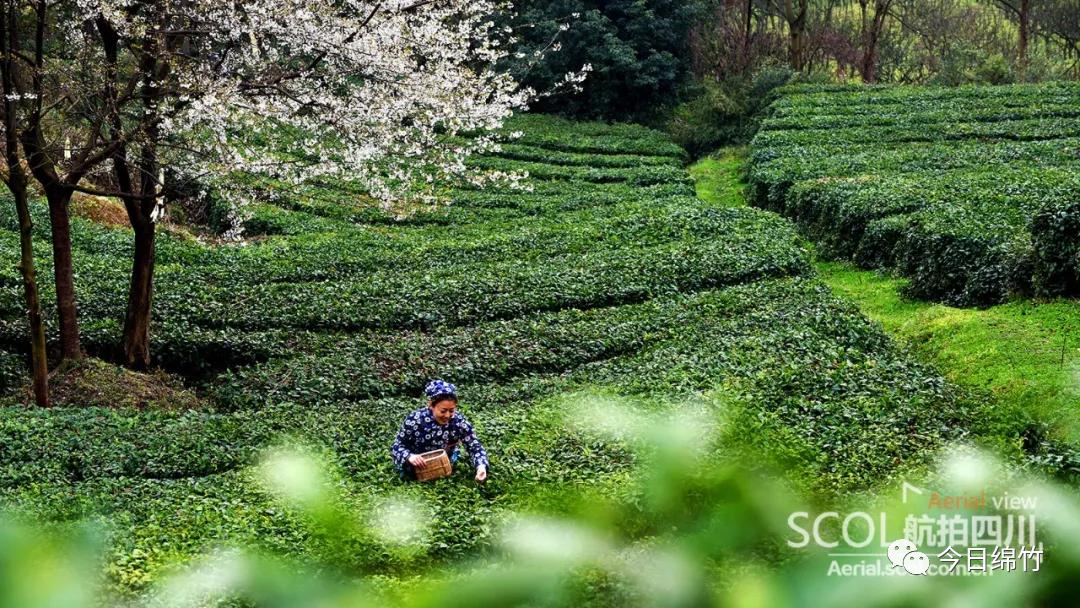 四川绵竹网红景区,绵竹自然风景网红打卡