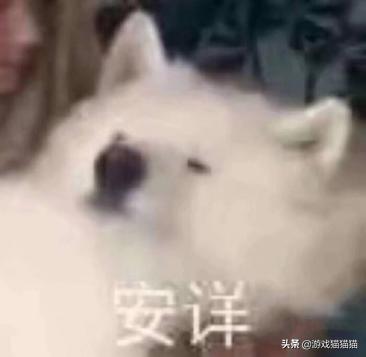 学会就能赚钱的技能,学会赚钱就是王道