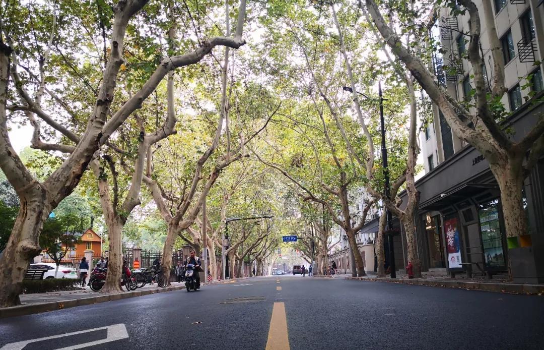 五一去上海有哪些好玩的地方,上海五一外滩风景