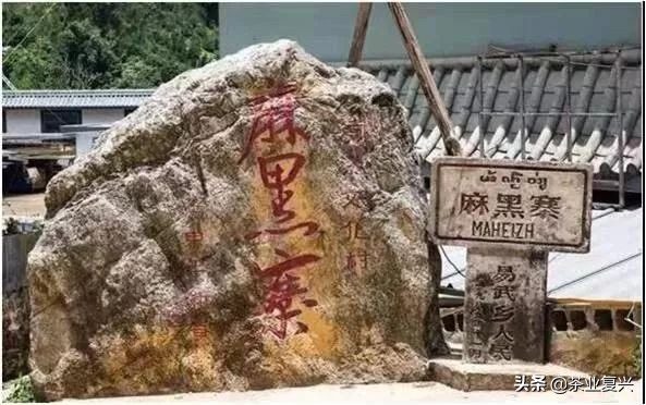 古树茶的作用和价值,古树茶营养价值