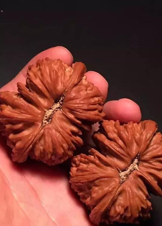 文玩核桃阴皮和反油,文玩核桃阴皮和反油怎么办