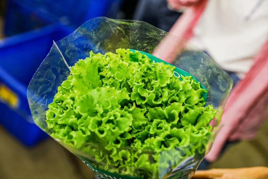 在大山深处幽静绝美的村落,深藏大山中的村落