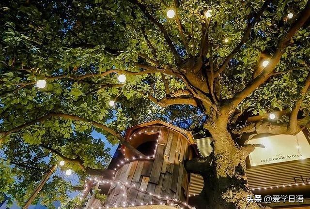 日本花店,日本花店是什么