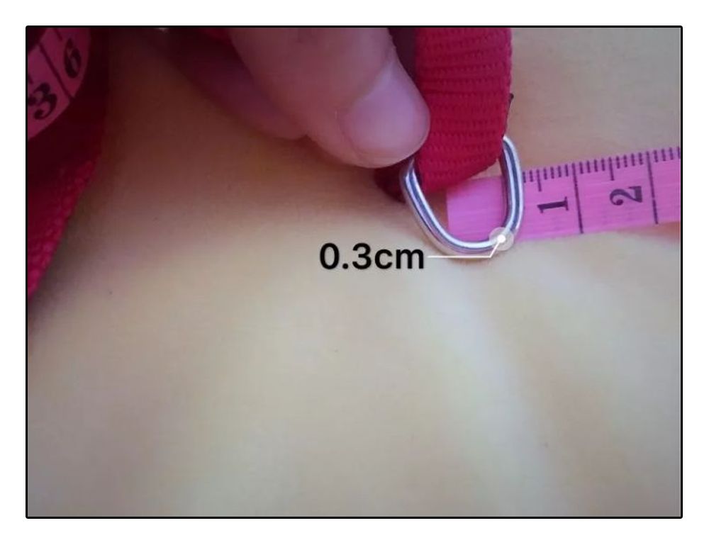 铲屎官安全注意事项,铲屎官遇到危险土狗