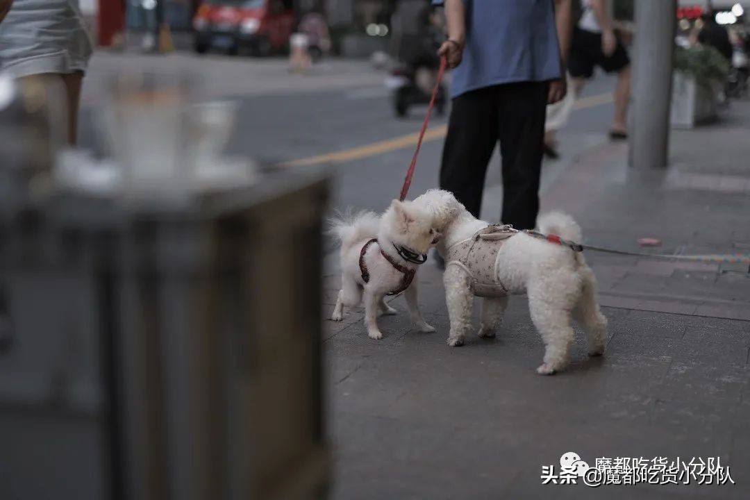 带火永康路的店，又有大动作了