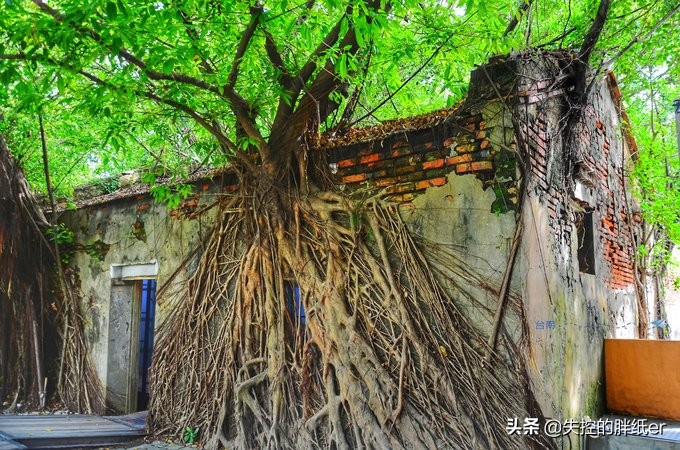 带上妈妈去旅行,带妈妈旅行去哪里合适