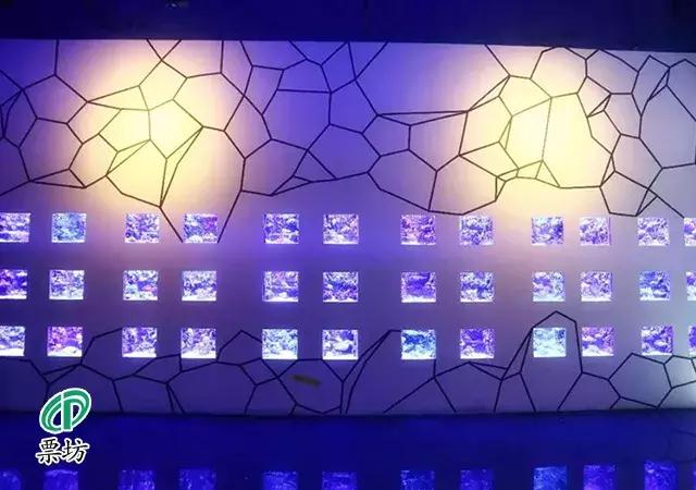 罗源湾海洋世界鲨鱼,汕头水母海洋世界图片