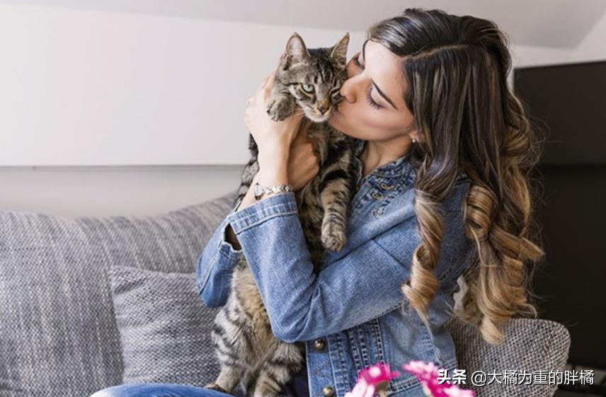 猫咪突然咬你的鞋子很凶,猫咪突然咬你脸