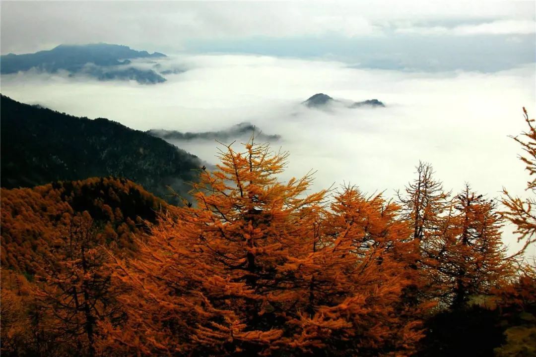 太白山徒步穿越4天3晚路线：登秦岭极顶，一日历四季十里不同天