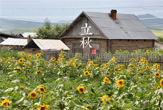阳历阴历农历公历的区别,阴历阳历公历农历是一个意思吗