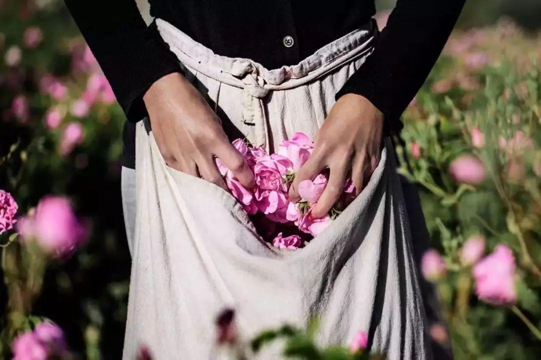 普通精油和进口精油有什么区别,单方精油贵还是复方精油贵