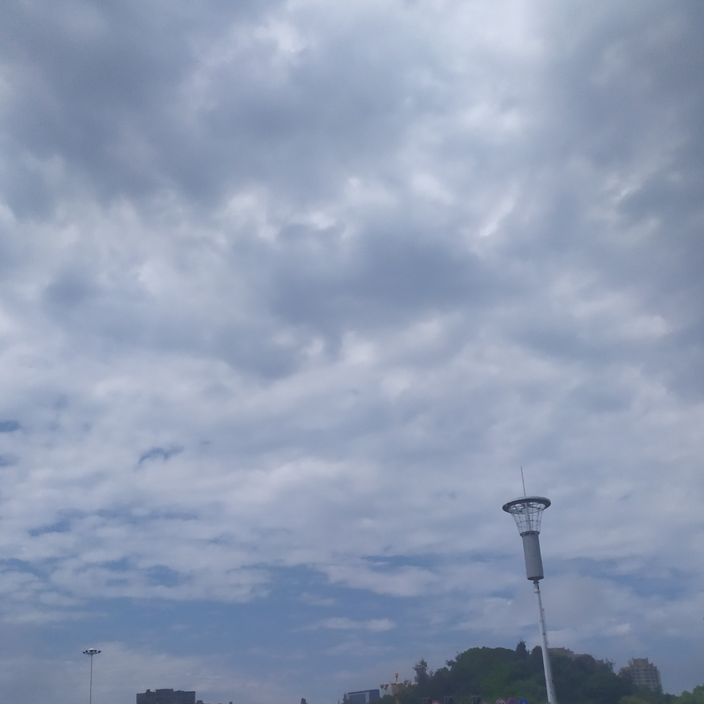 借了好几个平台网贷影响开车吗,如果你借了很多网贷逾期了怎么办