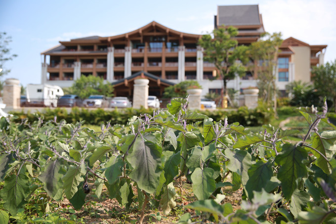 酒店亲子房主题房间,亲子儿童房酒店