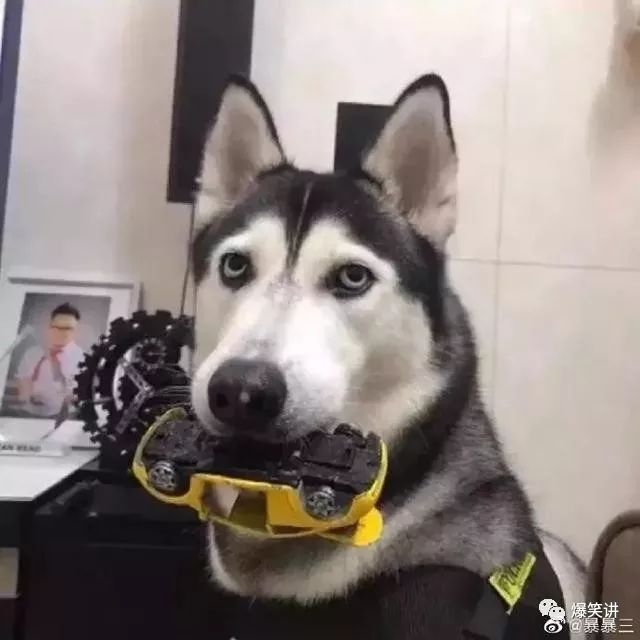 钢铁直男现场示范，如何做一个体贴的男人…哈哈哈哈哈哈哈哈