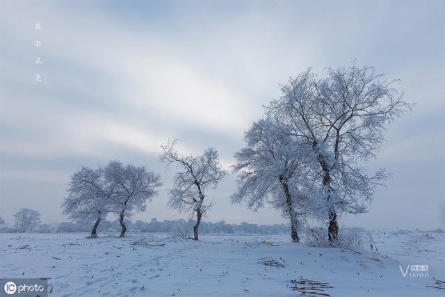 光圈与景深拍摄教程,光圈焦距与景深虚化效果
