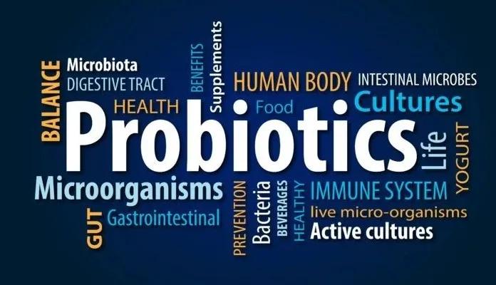 乳酸杆菌,乳酸杆菌有哪些菌种