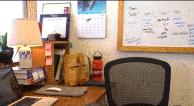 活石上不请自来的“偷渡客”，你们都是谁？