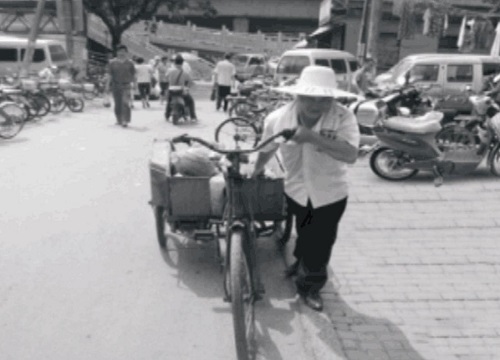 浙企品牌演绎奋斗历程——小水果,大梦想