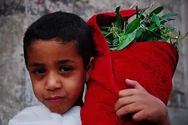 一个被人遗忘的国家,一个被人们遗忘的战争