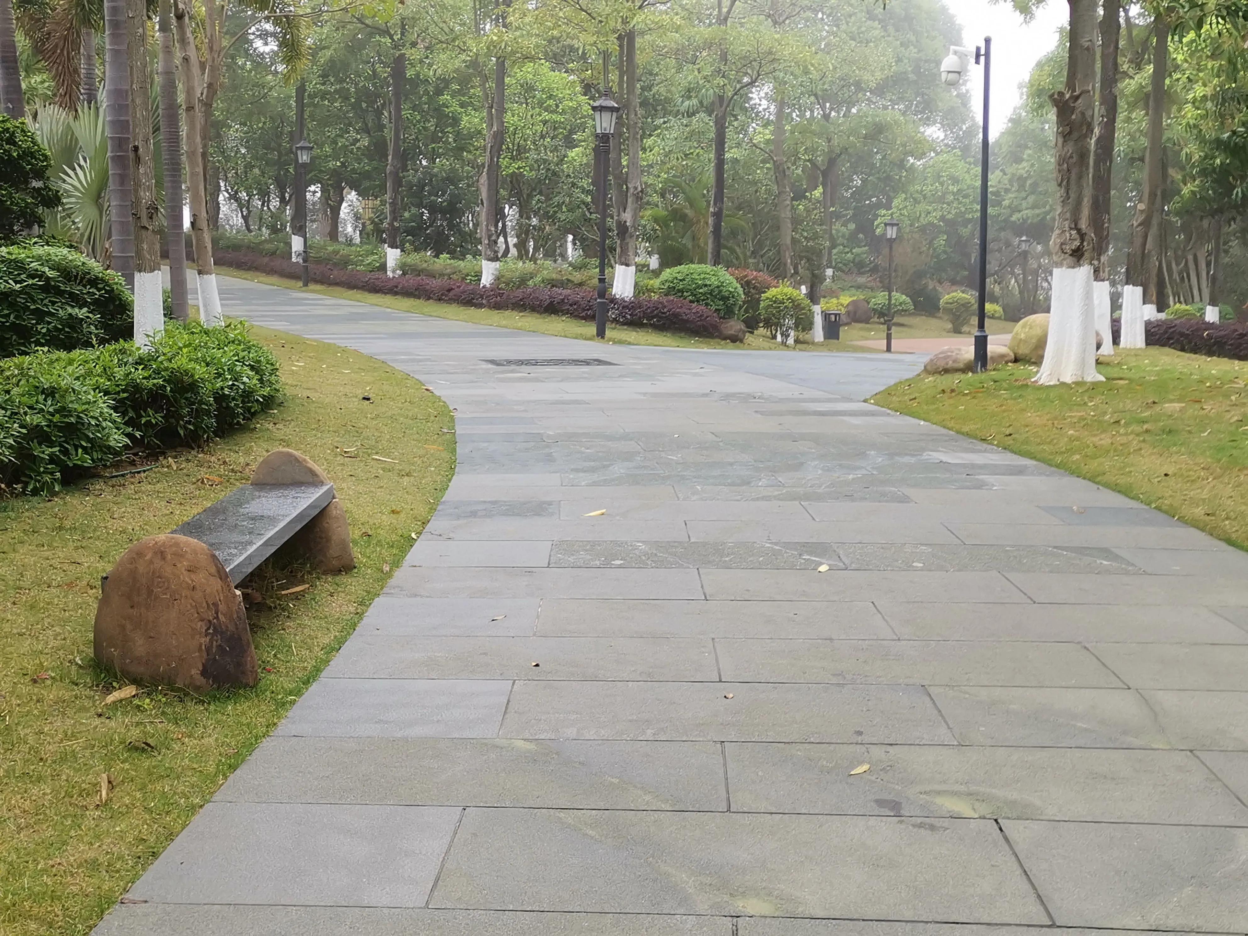 濮戝珎鏃呰璁板綍,濮戝珎鏃呰鏃ヨ