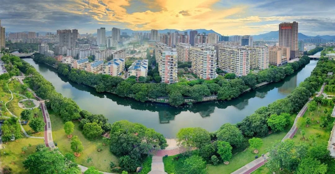 爱你没商量直播吗,爱你没商量海南