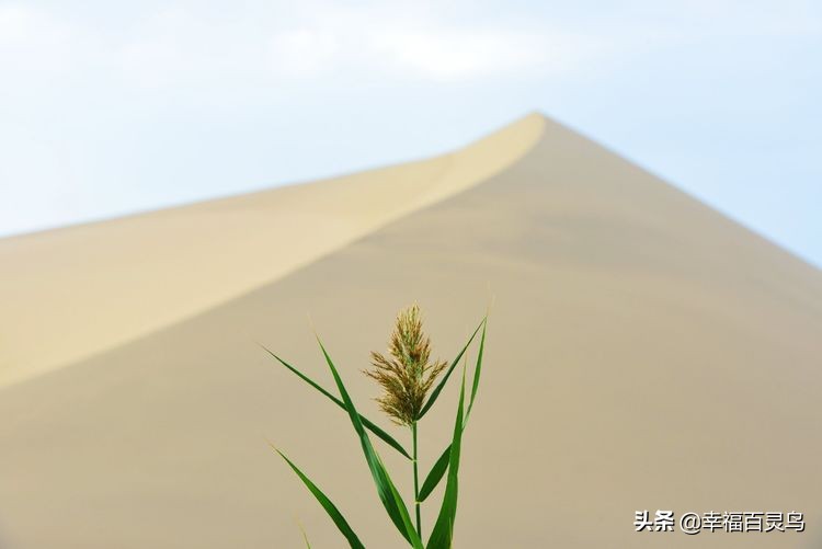 有了这攻略，自驾*藏西**游省心很多
