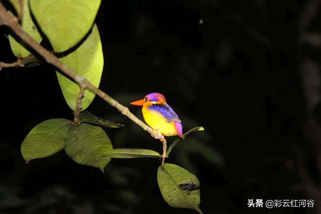 中国云南哪里好看,云南的云彩为什么好看