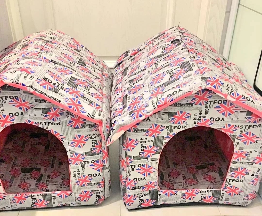 怎么给流浪小猫保暖,流浪猫如何度过寒冷的冬天