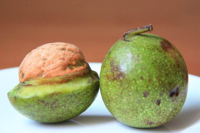 青核桃怎么去皮最快最好方法视频,青核桃如何去皮