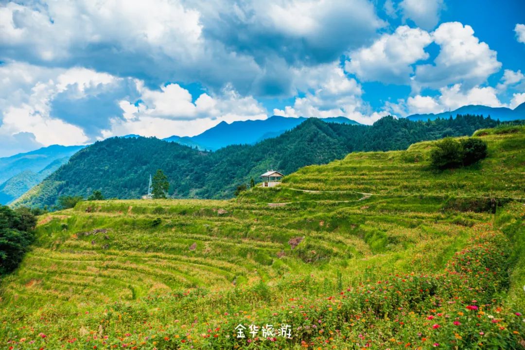 藏在崇山峻岭深处的世外桃源,藏在深山老林里的世外桃源