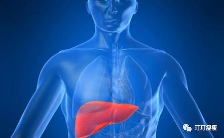 低碳水会损伤肝脏吗,低碳水饮食对心脏有影响吗