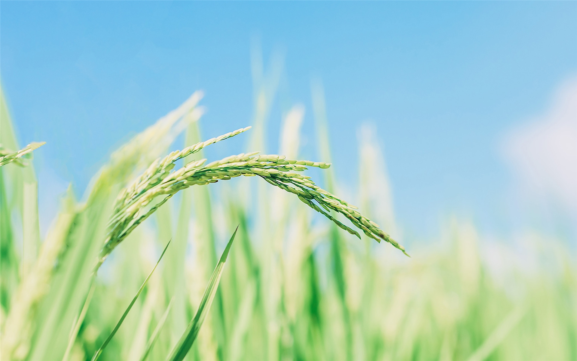 怎么学会与人沟通说话,提升情商与人沟通说话技巧的书籍